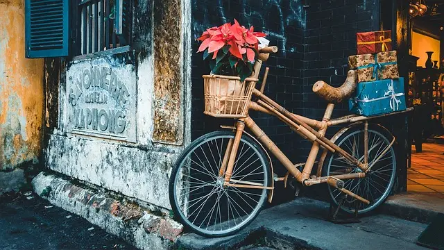 Autre style de vélo en bois