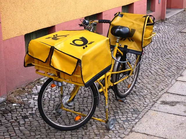 meilleurs porte bagages pour vélo, avant et arrière